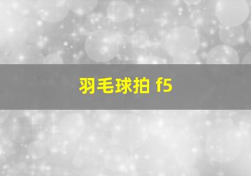 羽毛球拍 f5